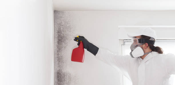 Best Crawl Space Mold Removal  in Maryville, MO
